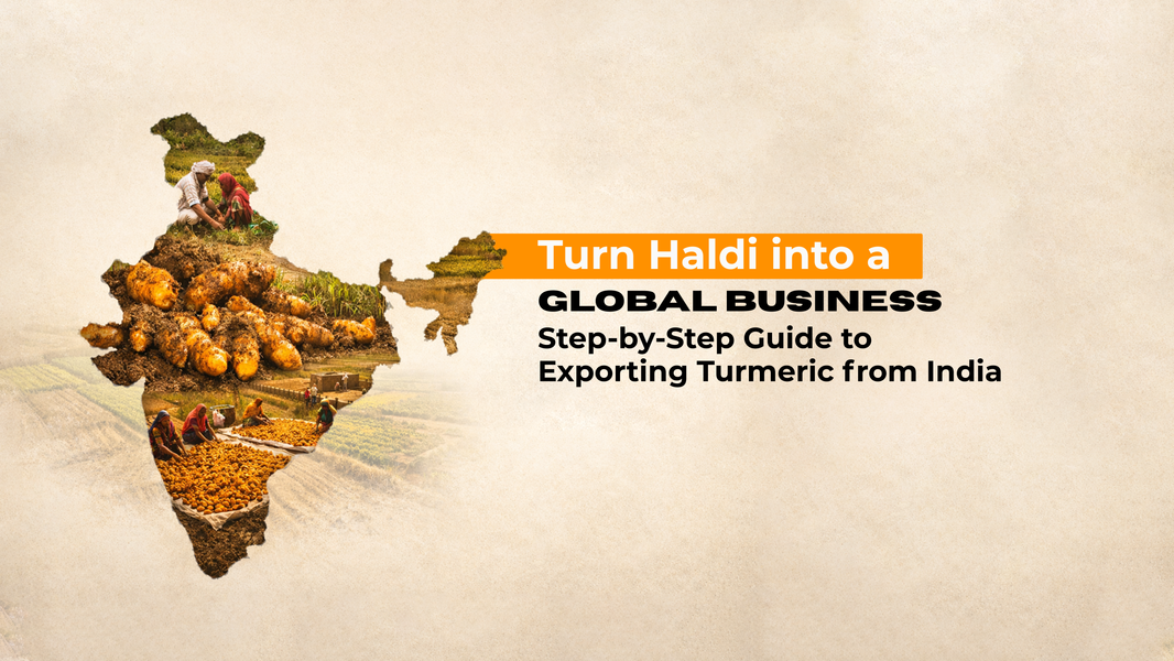 The Complete Guide to Exporting Haldi (Turmeric) from India